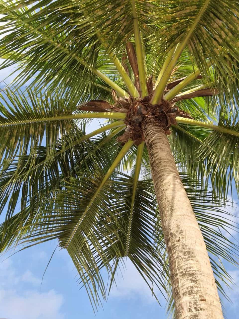 Felix, T2 Acces Plage Gros-Raisins Sainte-Luce Kültér fotó