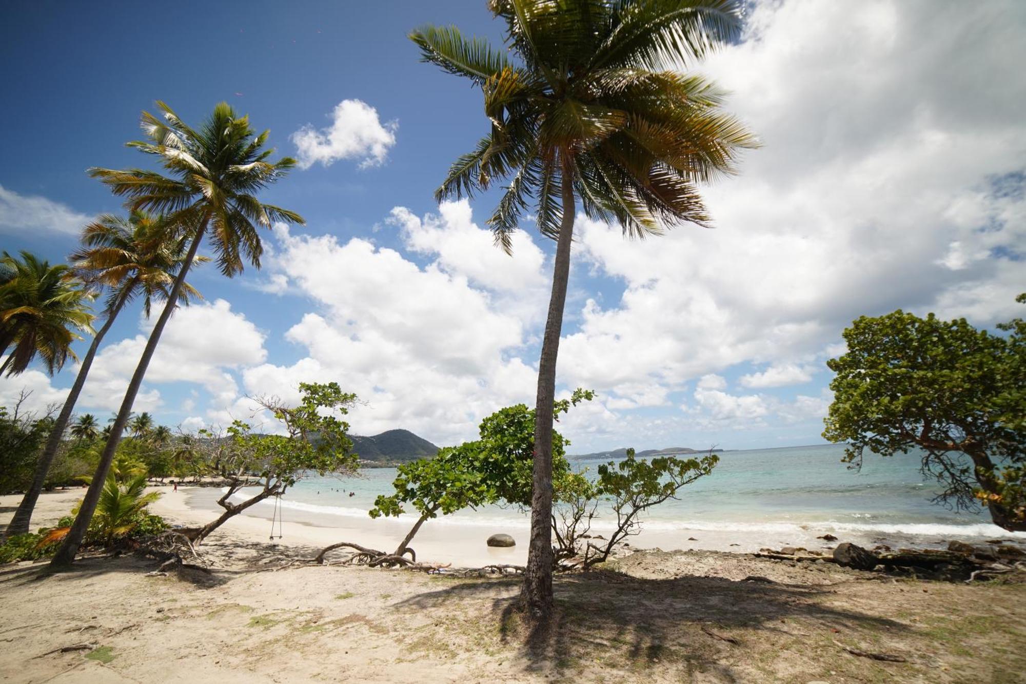 Felix, T2 Acces Plage Gros-Raisins Sainte-Luce Kültér fotó